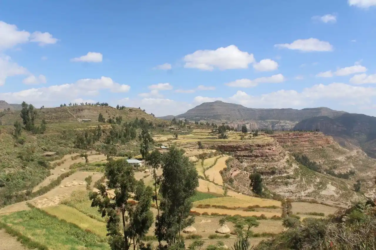 A highland homestead surrounded by terraced farmland in the Agame Mountains, Tigray