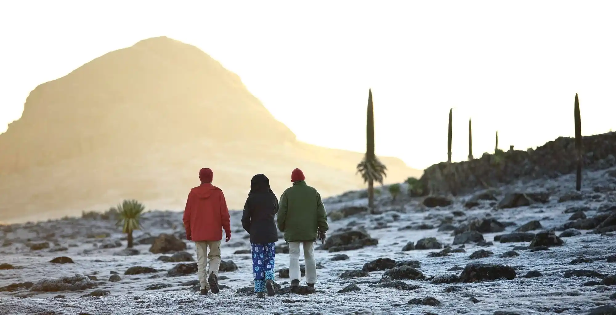 Trekkers crossing the frosty Sanetti Plateau at dawn, Bale Mountains National Park