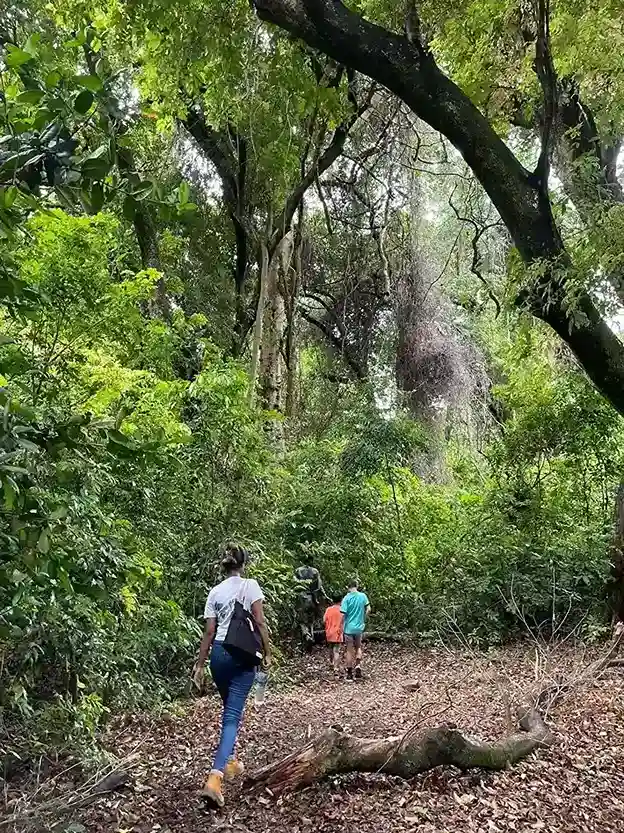 Nigisti Solomon walking with travelers through an Ethiopian highland forest, connecting with local communities