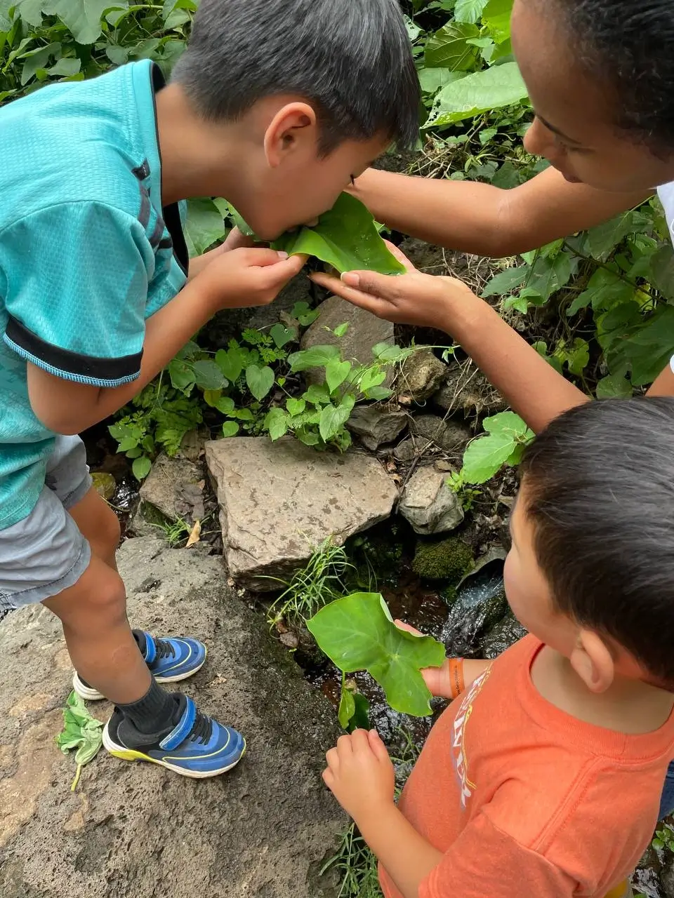 Children exploring Ethiopia's natural biodiversity on a sustainable, community-rooted tour